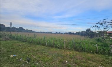 Se Vende  Finca  en Interamericana de 1.3 Has  en Veraguas