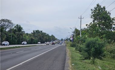 Se Vende  Finca  en Interamericana de 1.3 Has  en Veraguas