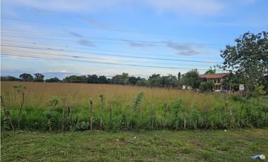 Se Vende  Finca  en Interamericana de 1.3 Has  en Veraguas