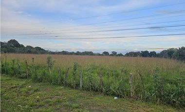 Se Vende  Finca  en Interamericana de 1.3 Has  en Veraguas