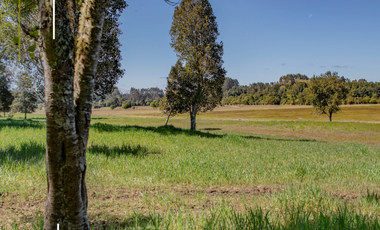 Sitio en Venta en Sector Paraguay Chico