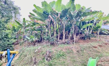 casa campestre en venta en dapa. Cod V9062617