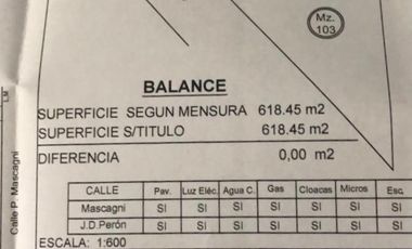 Venta lote en block o individual