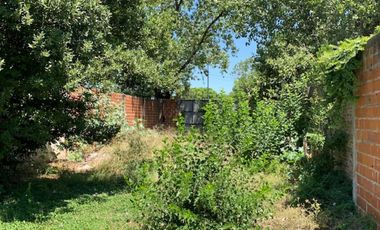 Venta lote en block o individual