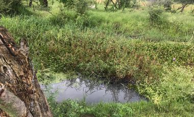 Terreno En Acatlán De Juárez.