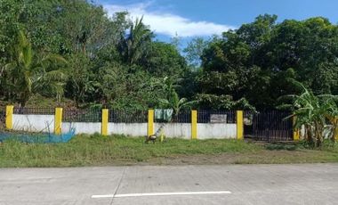 For Sale: Agricultural Land in Lucena, Quezon