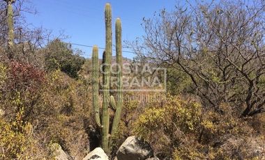 Oportunidad Venta Terreno en condominio en Hijuelas