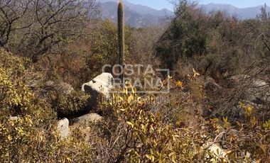 Oportunidad Venta Terreno en condominio en Hijuelas