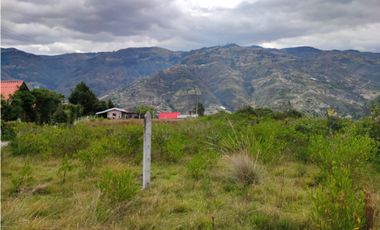 VENDO O CAMBIO TERRENOS EN PAUTE CHICAN