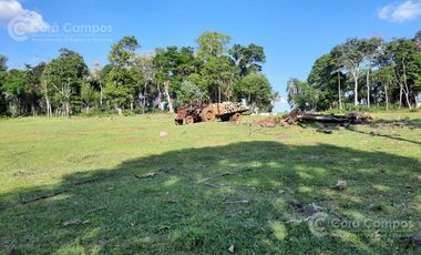 Se Vende Campo Ganadero de 150ha en Colonia Delicia, Eldorado.