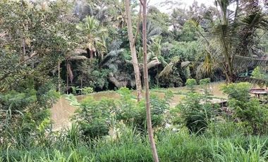 Land for sale with views of rice fields, valleys and jungle in Ubud Bali