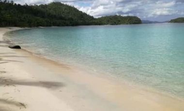 Whitesand 8.8 Hectares Beach Property in Palawan