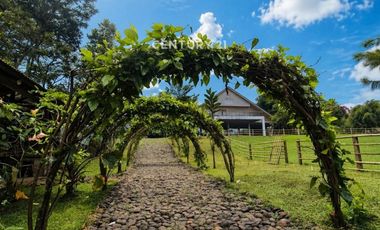 Villa Ekslusif View Indah Lokasi Strategis Di Banjaran Bandung