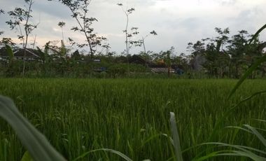 DIJUAL RUMAH DI SLEMAN COCOK UNTUK ANDA KONSEP MODERN DAN KLASIK