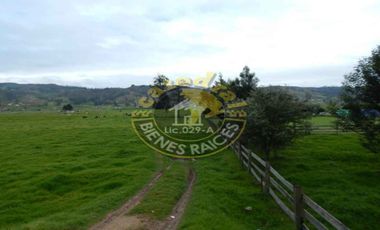 Terreno de venta en Tarqui – código:12232