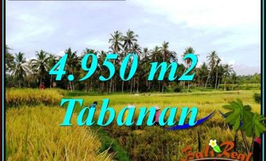 Under Market Price 4,950 sqm in MARGA TABANAN