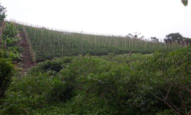 finca en venta en puente tierra. Cod V107643