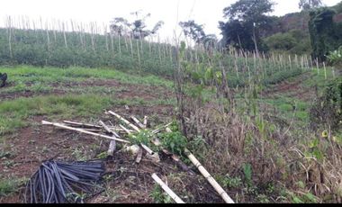 finca en venta en puente tierra. Cod V107643