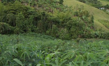 finca en venta en puente tierra. Cod V107643