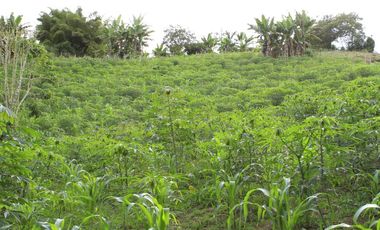 finca en venta en puente tierra. Cod V107643