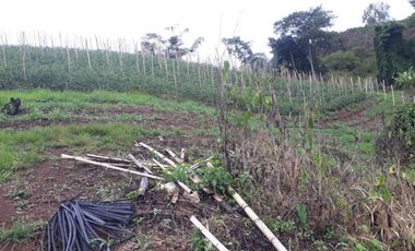 finca en venta en puente tierra. Cod V107643