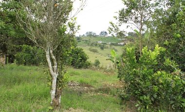 finca en venta en puente tierra. Cod V107643