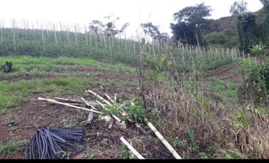 finca en venta en puente tierra. Cod V107643