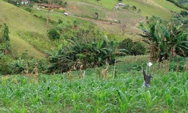 finca en venta en puente tierra. Cod V107643