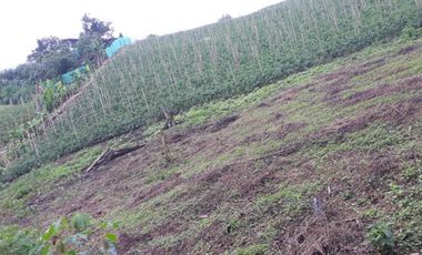 finca en venta en puente tierra. Cod V107643