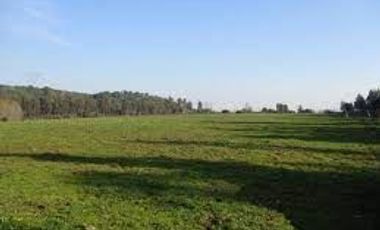 Agrícola en Venta en Negrete