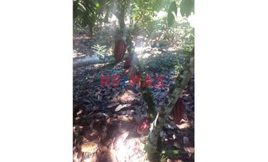 Venta De Reesort  El Abiseo Aventura Paradise