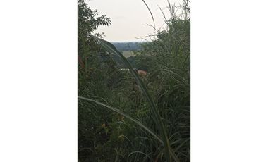 MAGNIFICO RANCHO A ORILLA DE CARRETERA EN TONALÀ