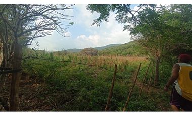 MAGNIFICO RANCHO A ORILLA DE CARRETERA EN TONALÀ