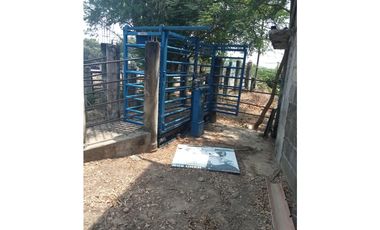 MAGNIFICO RANCHO A ORILLA DE CARRETERA EN TONALÀ