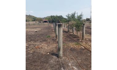 MAGNIFICO RANCHO A ORILLA DE CARRETERA EN TONALÀ