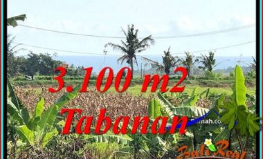 3,100 m2 with RICE FIELD, OCEAN AND MOUNTAIN VIEW in TABANAN