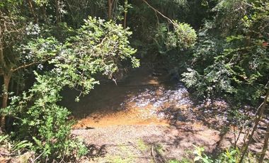 CASA EN PARCELA DE MEDIA HECTAREA SECTOR CASA BLANCA