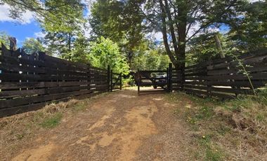 CASA EN PARCELA DE MEDIA HECTAREA SECTOR CASA BLANCA