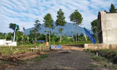 VILLA CIANJUR DI KAKI GUNUNG GEDE DI TENGAH KEBUN TEH