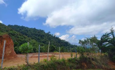 finca en venta en municipio de piendamo cauca. Cod V223
