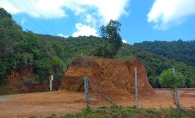 finca en venta en municipio de piendamo cauca. Cod V223