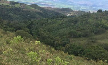 finca en venta en municipio de piendamo cauca. Cod V223