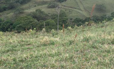 finca en venta en municipio de piendamo cauca. Cod V223