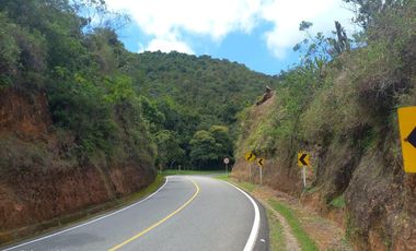 finca en venta en municipio de piendamo cauca. Cod V223