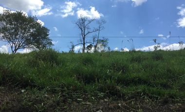 finca en venta en municipio de piendamo cauca. Cod V223