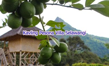 Kavling PROMO ONLY 255 JUTA Selawangi Bogor