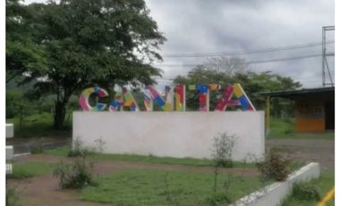 FINCA EN CHEPO CAÑITAS 50 HÉCTAREAS