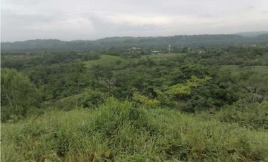 FINCA EN CHEPO CAÑITAS 50 HÉCTAREAS