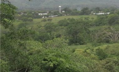 FINCA EN CHEPO CAÑITAS 50 HÉCTAREAS