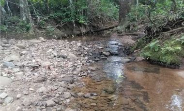 FINCA EN CHEPO CAÑITAS 50 HÉCTAREAS